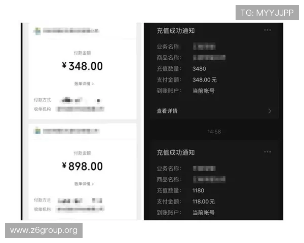 尊龙旗舰网站充值方式多样化推荐便捷快速实现游戏资金充值